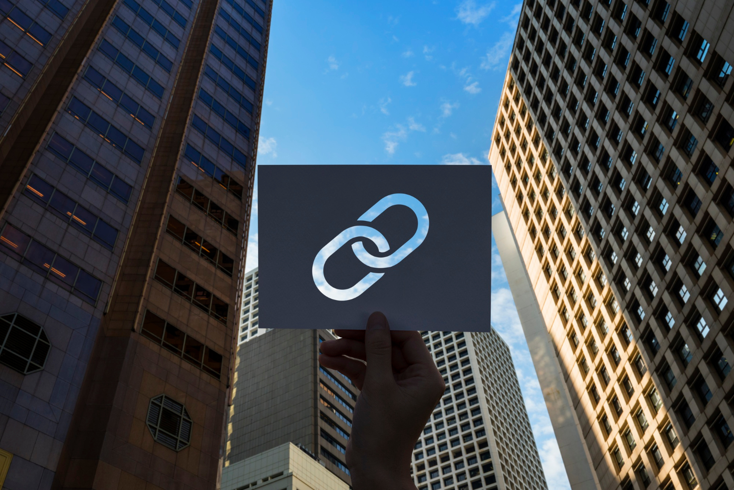 linkbuilding web